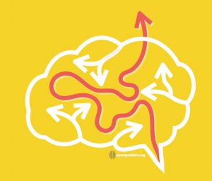 rutina cerebro