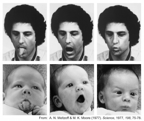 imitacion bebes - meltzoff