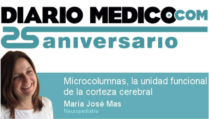 microcolumnas