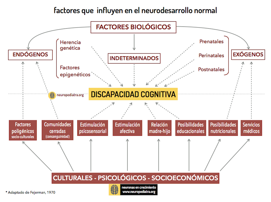 causas del retraso mental / discapacidad cognitiva